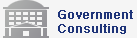Government Consulting