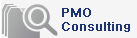 PMO Consulting